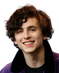 Face search result for Timothée Chalamet